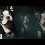Stochu, Buszu, Buczer, ZdunO i JNR – „Co cię trapi?” (wideo)