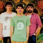 Animal Collective raz jeszcze