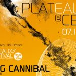 Wszystko o Plateaux Festival