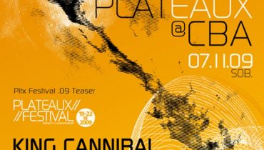 Wszystko o Plateaux Festival
