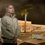 Pitbull od kulis