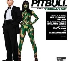 PITBULL – „Rebelution”