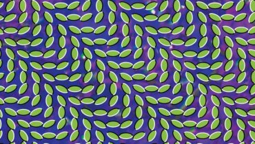 Animal Collective z najlepszym albumem 2009 roku