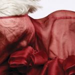 Lady GaGa, Green Day i Pink na Grammy