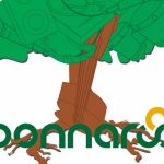 The Best Of Bonnaroo